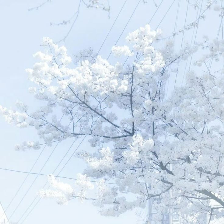 Иллюстрация 1 для 𓆩 𝘫𝘶𝘴𝘵 𝘴𝘢𝘺 𝘺𝘰𝘶 𝘸𝘢𝘯𝘵 𝘮𝘦 𓆪